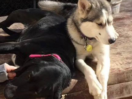 Lower Speed Work, and A Tragic Loss (w/ VIDEO)