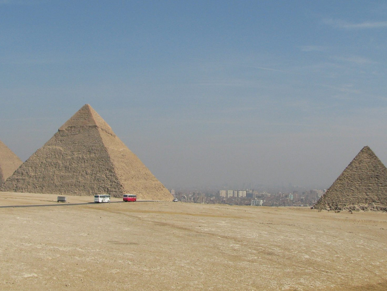 Evolution and Exercise