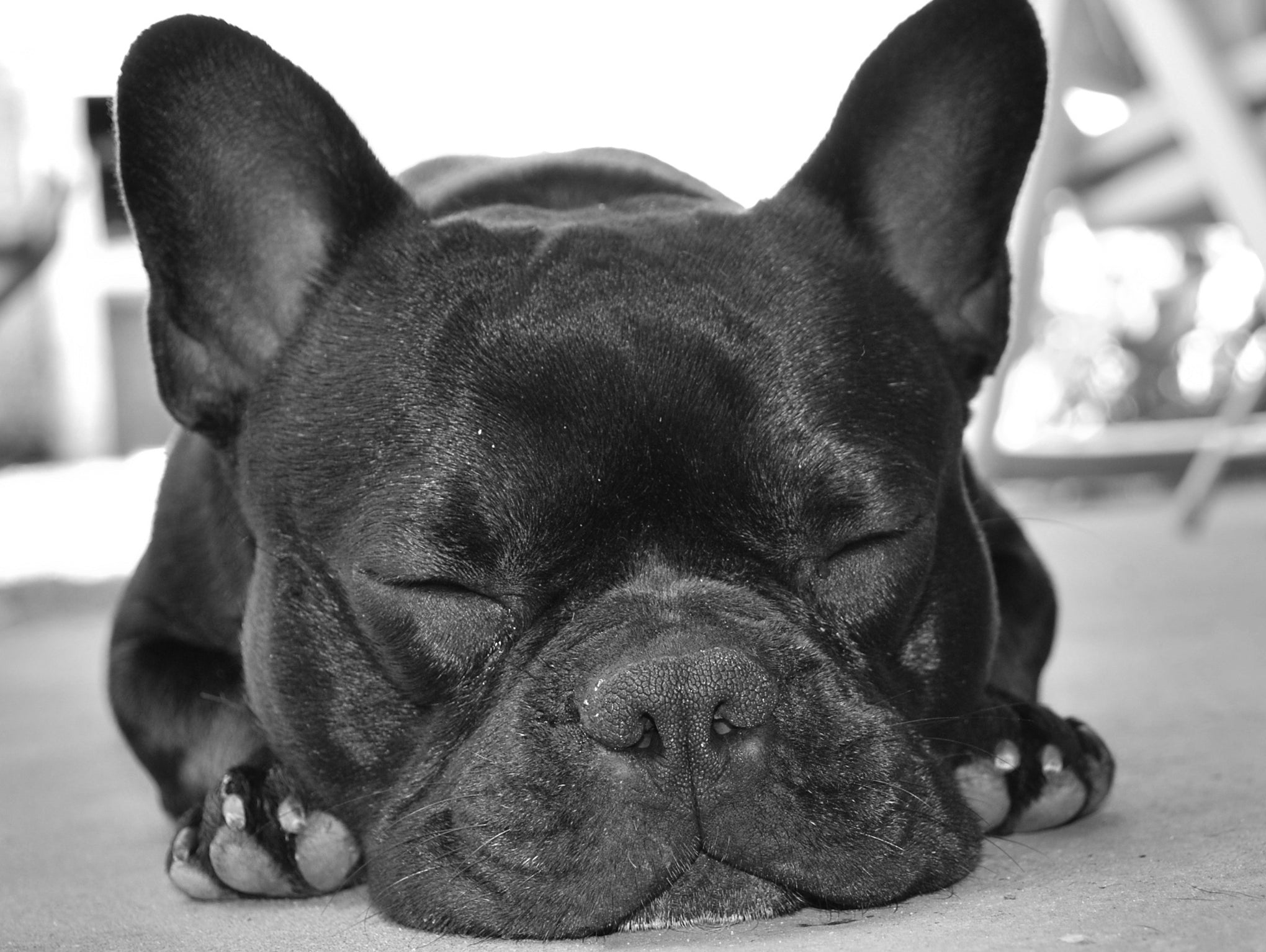 Sleep: Why It's Essential