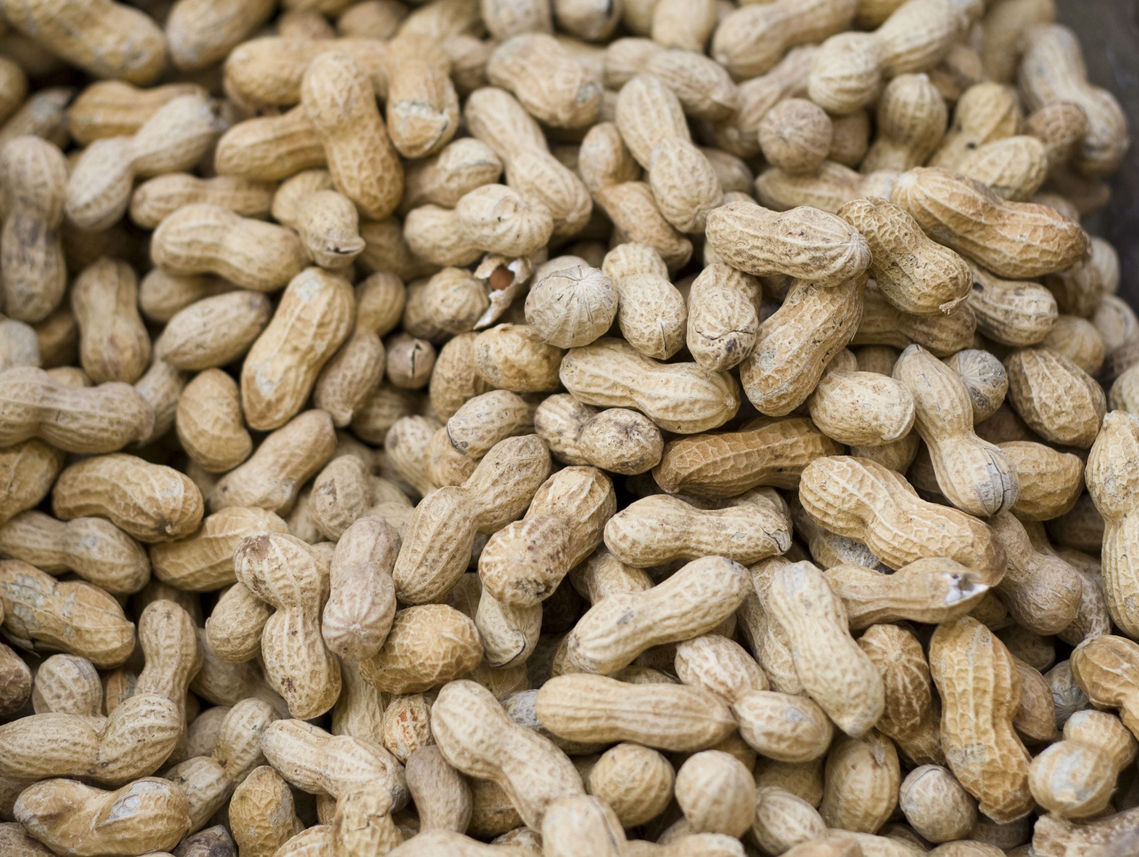 Five Recession Proof Foods for the Serious Athlete