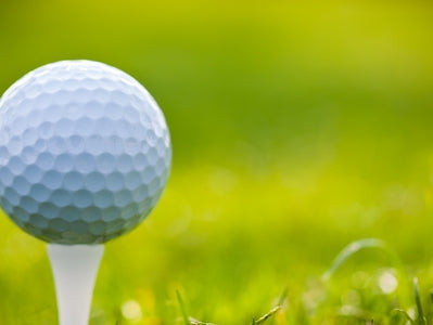 If I decided that I wanted to be a golf coach, would you hire me?