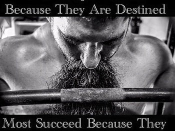 Success: Destiny or Determination?