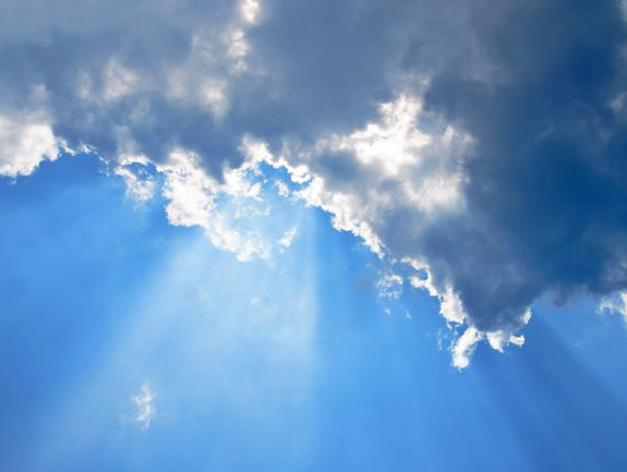 The College Athlete: True Pursuit of a Dream