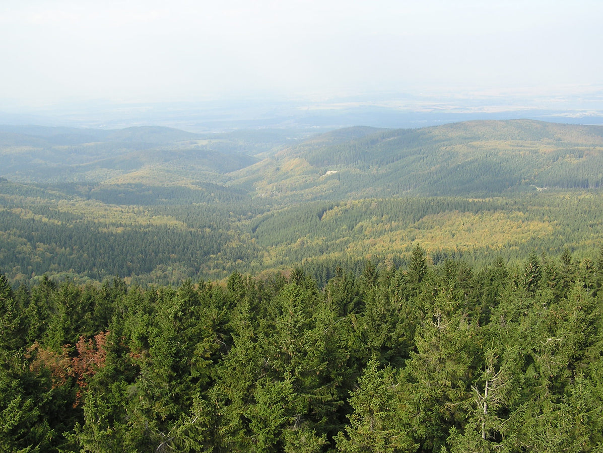 Under The Bar: It's all Downhill