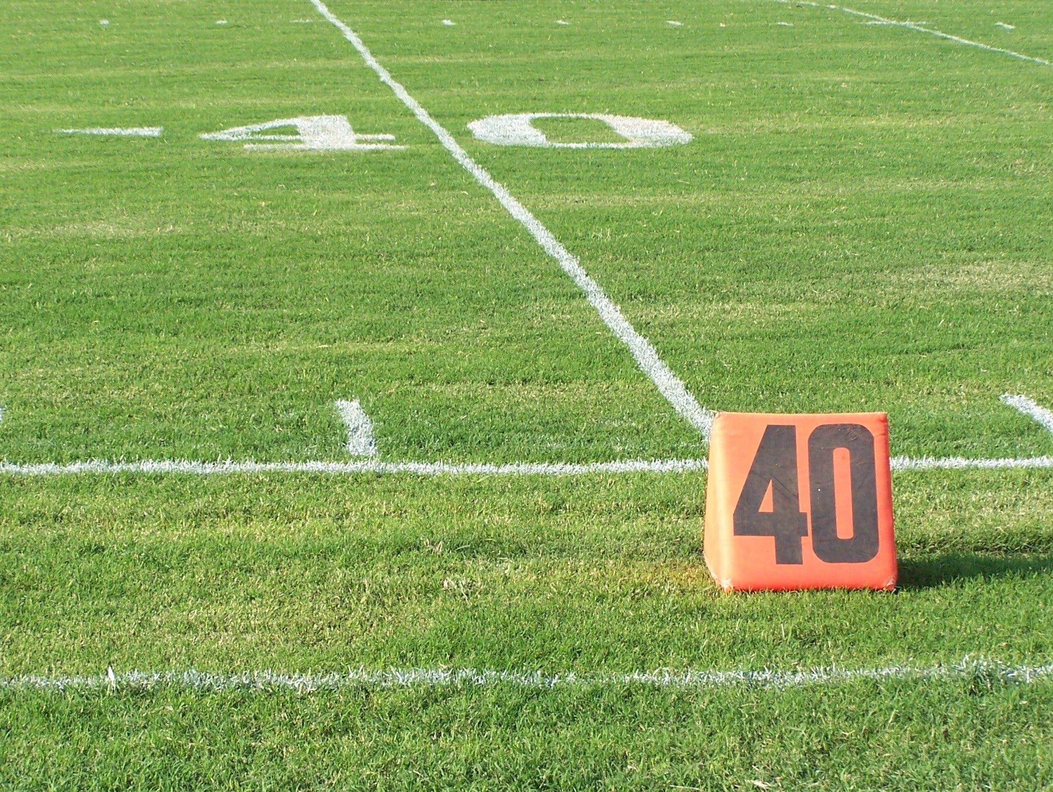 Training the Athlete