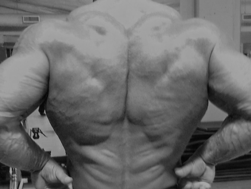Primary Back Workout