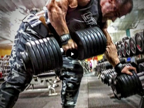 Primary Back & Biceps