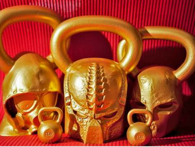 Sheri's Top 20 Training/Education Logs From 2015 !