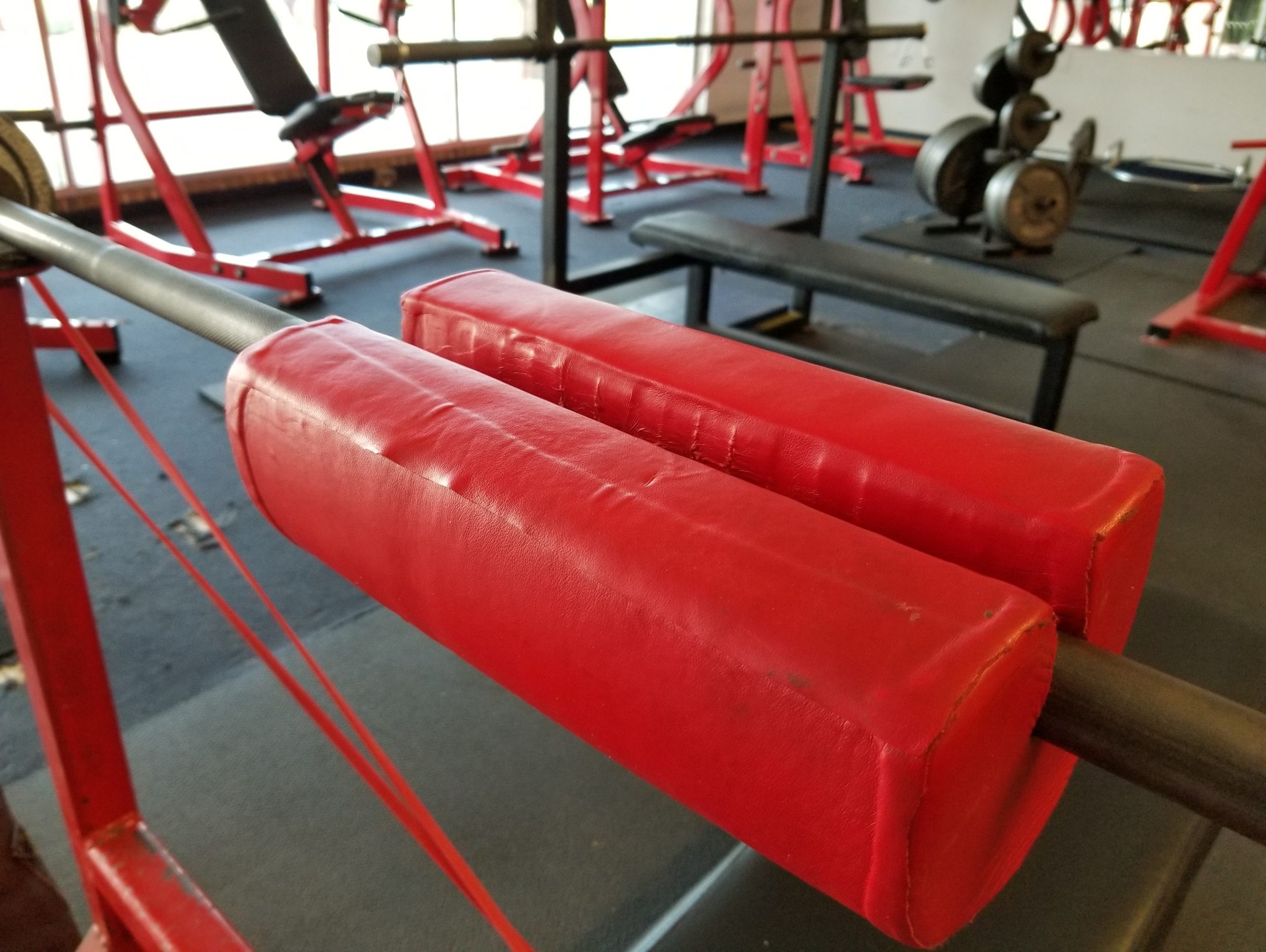 Week 5 - Day 4 accessories