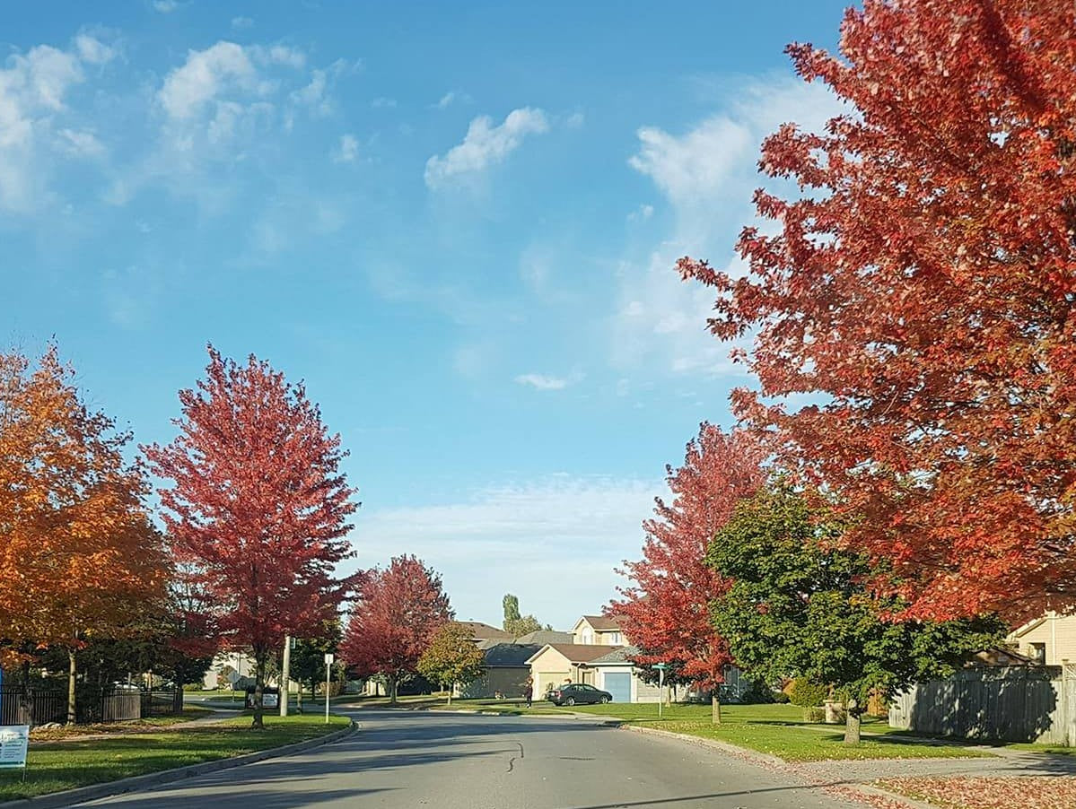 Changing Of The Seasons!