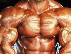 Primary Chest Workout