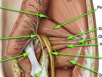Finally Diagnosed Hip Pain