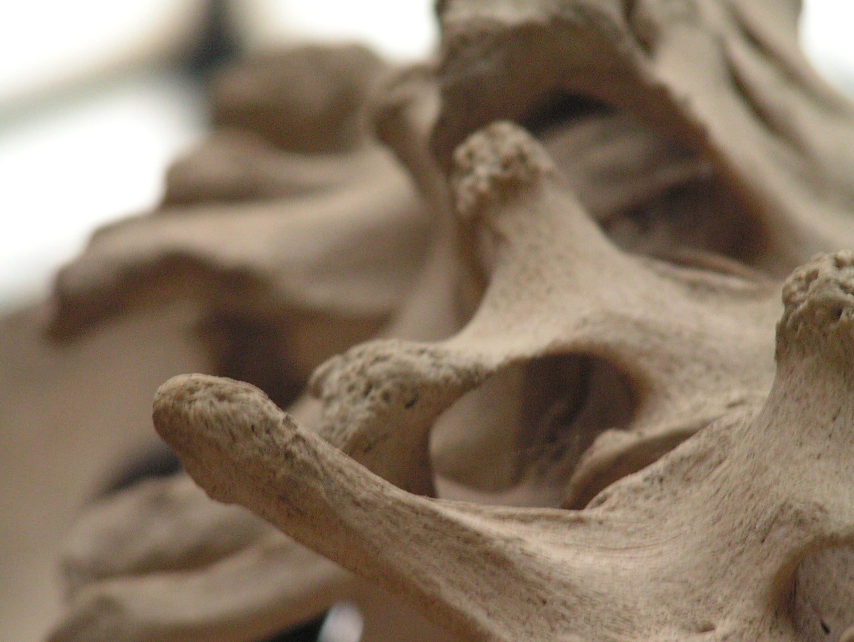 Under The Bar: Spine and Balls