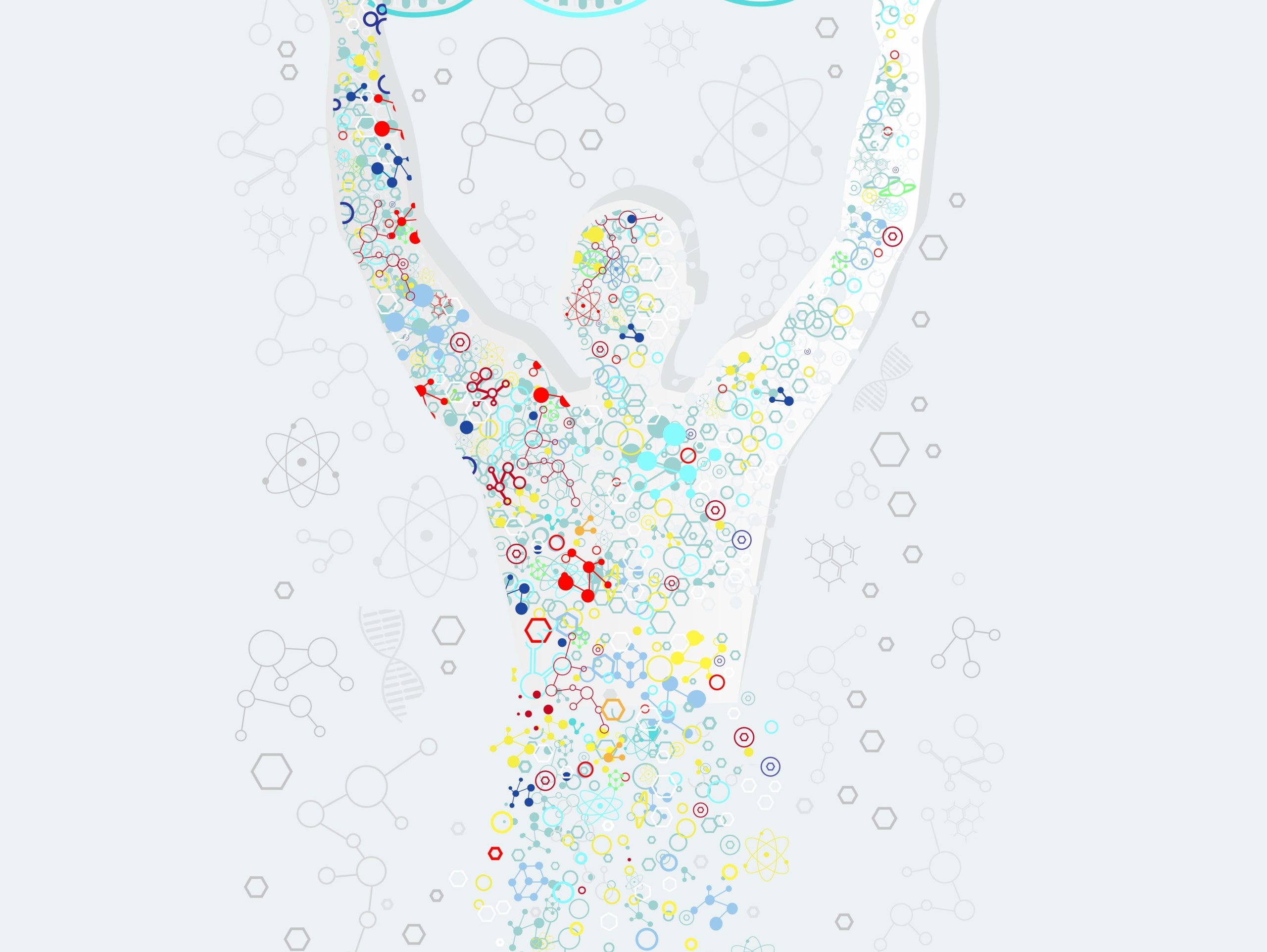 The Fibonacci Spiral