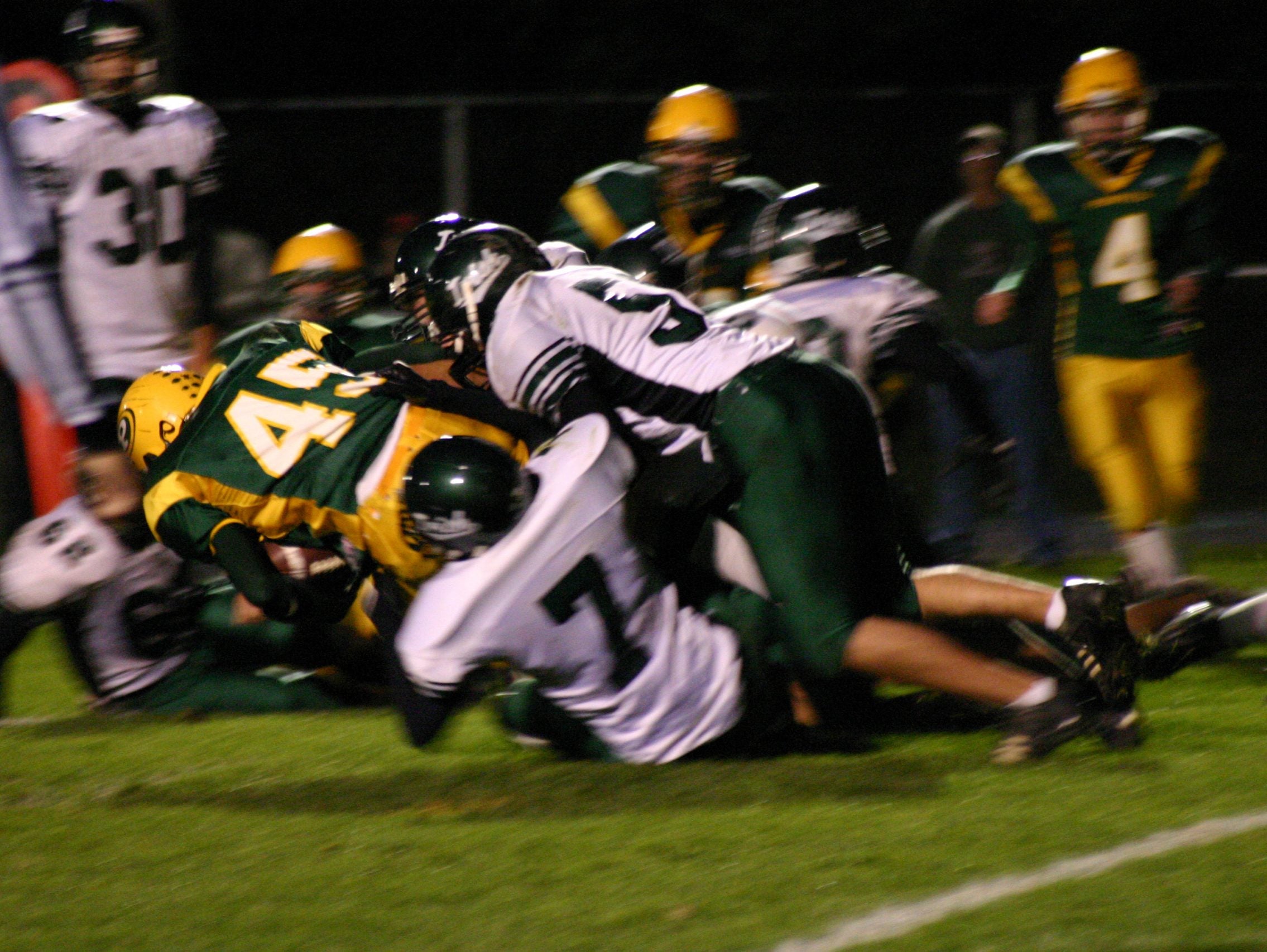 Ten Reasons Why Young Athletes Are Easier to Train Than Adults