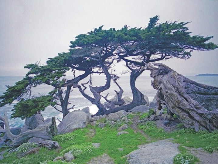 7/29/2024 Why That One?