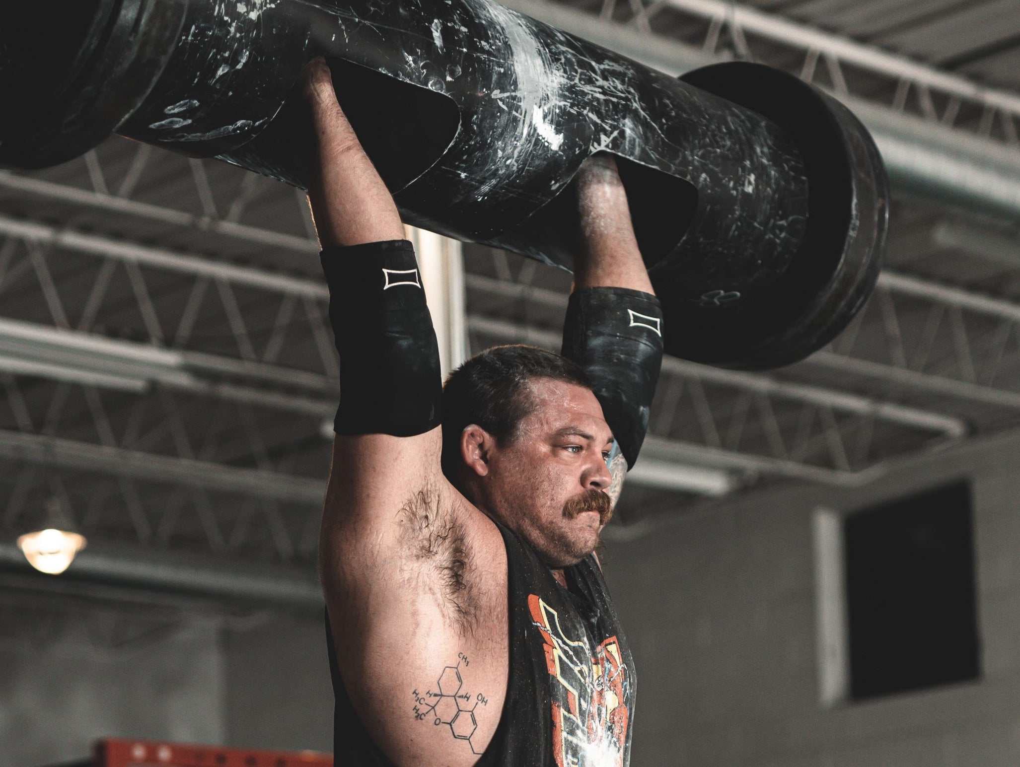 A Holistic View of Autoregulation