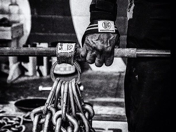 Study on Calories Burned While Training