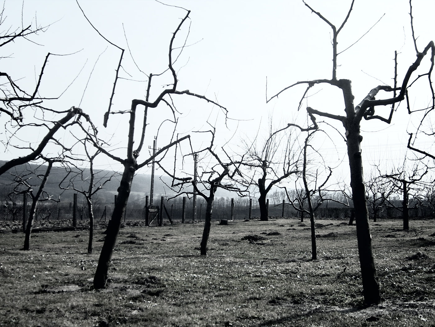 Exercise and Depression