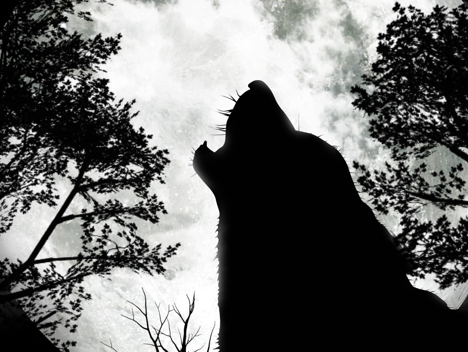 The Wolves of Discipline and the Phalanx