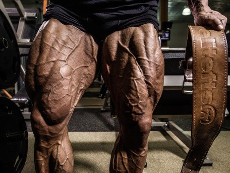 Primary Legs