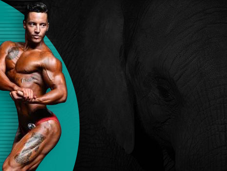 Customize the Perfect Intra-Workout Shake