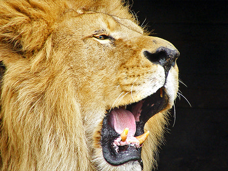 5 Leadership Mistakes in Personal Training