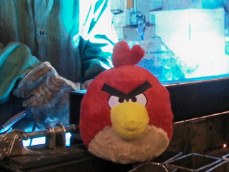 They are NOT Angry Birds! Normalcy?