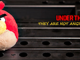 Under the Bar: Fathers and Children with Disabilities