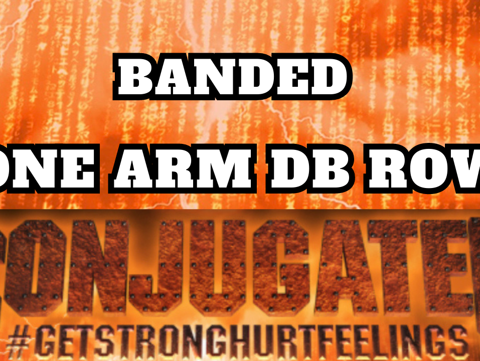 BANDED ONE ARM DB ROW