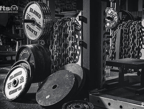 Week 14 / Day 2 - Upper Accessory / Back Work