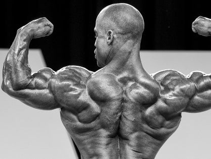 Primary Back Training