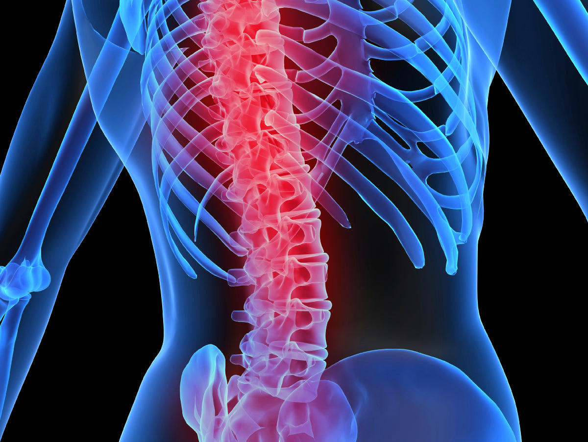 I’m Injured—Now What?