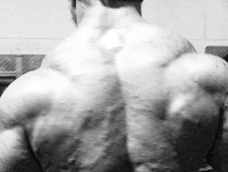 Bodybuilding Day: Back and Biceps