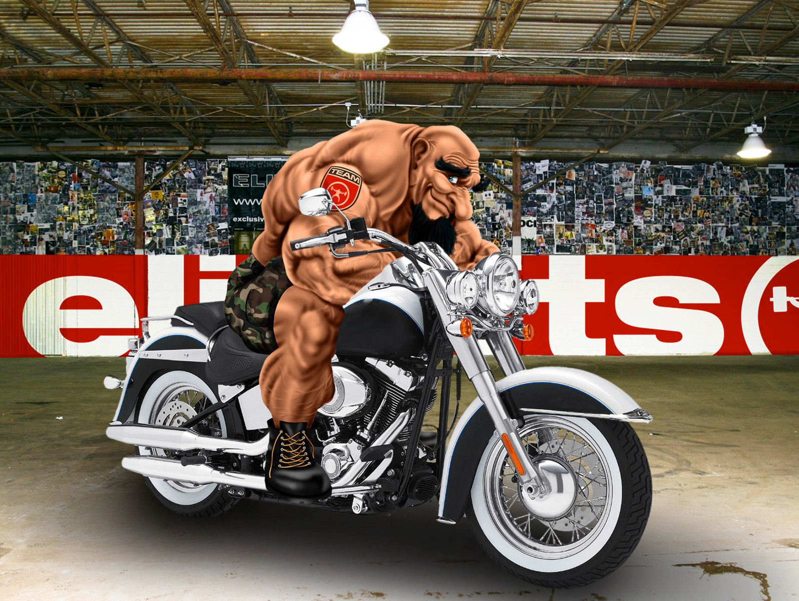 Biker Troll