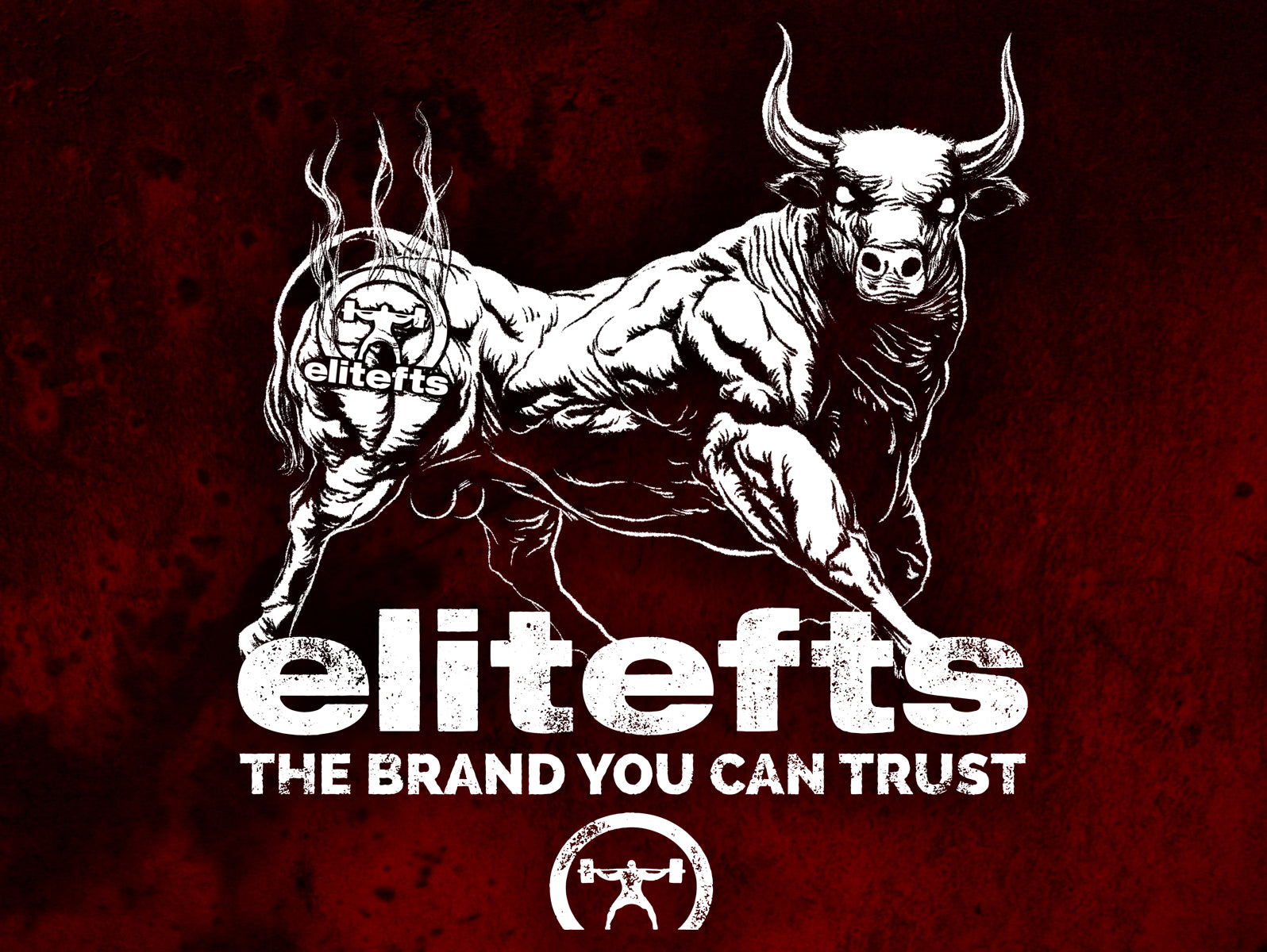 Rack pulls and safety bar squats from Sept 2-Sept 5