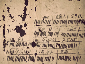 Training by the Numbers 2013