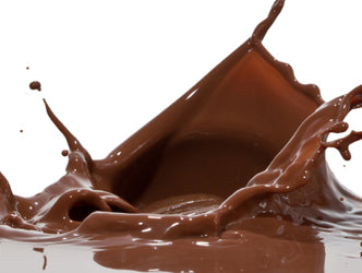 Dark Chocolate Protein Bars