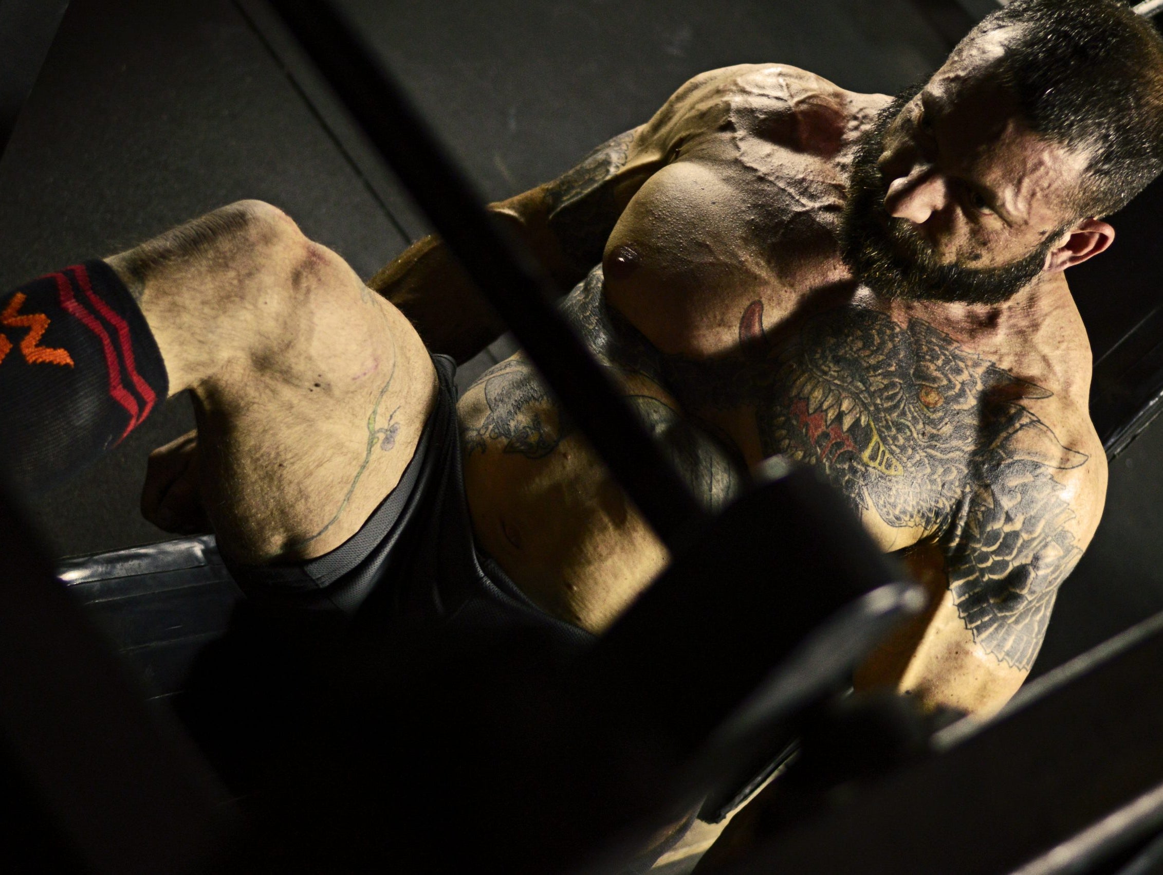 Pictures from my Photo Shoot - Diet Wrap up