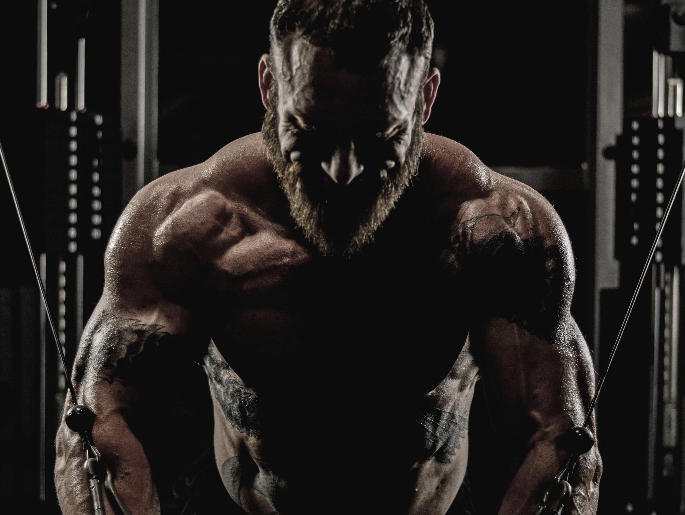 They Can't all Be Great - 550 No Hands Front Squat - 335x20 Revers grip bench - 2016wk20