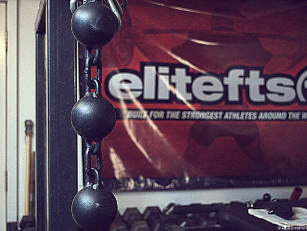 Speedy Benching, Boards, and A Side of Fluff (w/VIDEO)