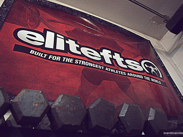 Squat / pull day withs lots of videos.