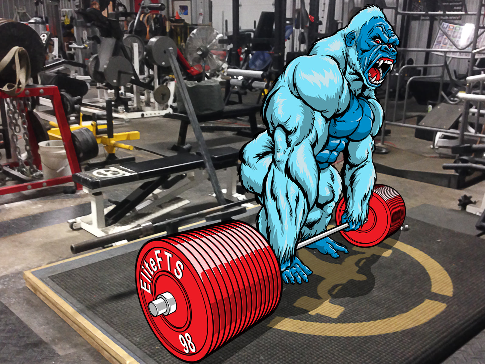 Arnold Deadlift Openers 10 Days Out !