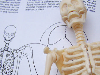 A Day with Dr. Stuart McGill (Part 3)