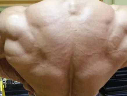 Power-Building Wk1 Day4: More Back
