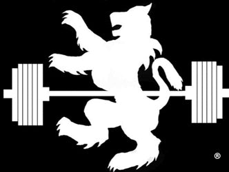 Beast Reality: 2013 Training Retrospective