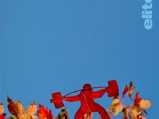 Thursday=Happy Thanksgving to everyone