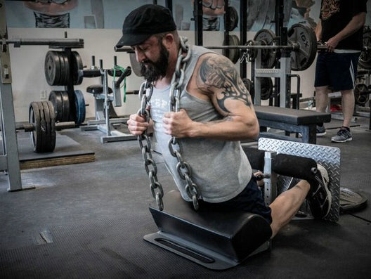 Elitefts is having a great Better than Black Friday sale including The Home GHR!