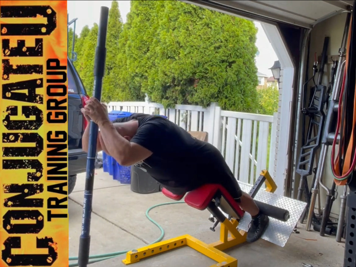 ELITEFTS PRO MODEL BACK EXT NORDICS