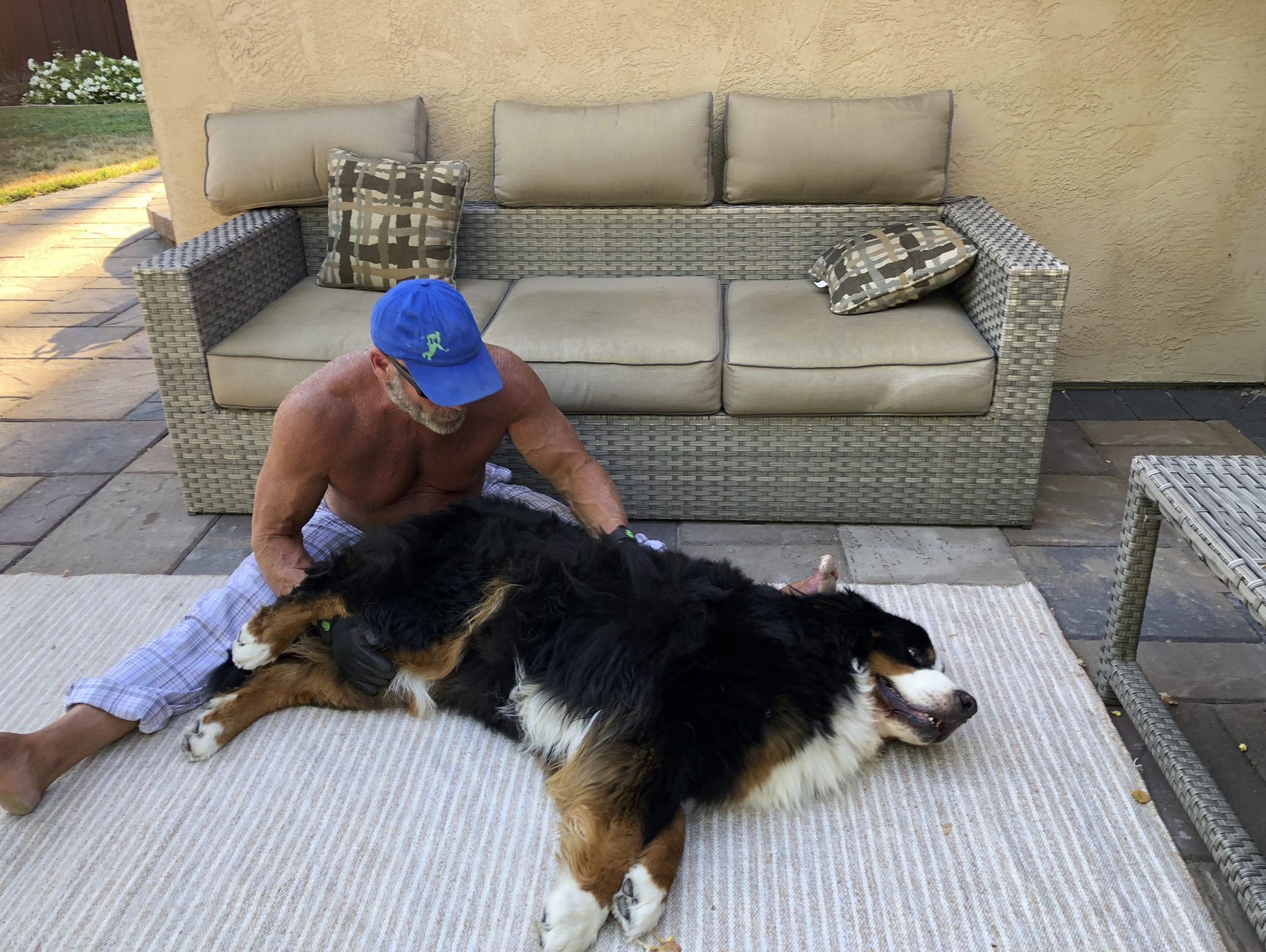 I kept trying to remember the story of the dog that howled so much but keep forgetting to write it in my weekday Coaching Log. Therefore a rare weekend appearance.